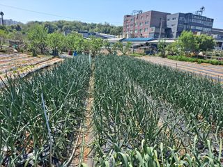 나누고싶어서님의 자유주제 · 자유게시판 작성글 사진