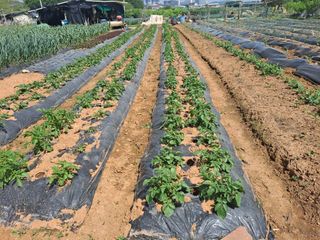 나누고싶어서님의 자유주제 · 자유게시판 작성글 사진