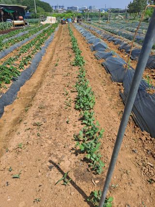 나누고싶어서님의 자유주제 · 자유게시판 작성글 사진