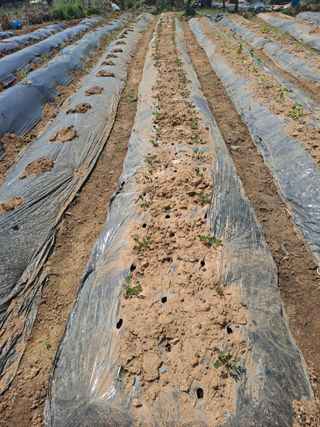 나누고싶어서님의 자유주제 · 자유게시판 작성글 사진