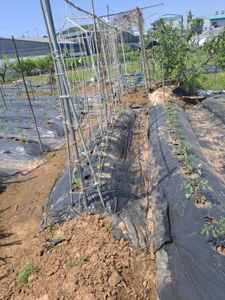 나누고싶어서님의 자유주제 · 자유게시판 작성글 사진