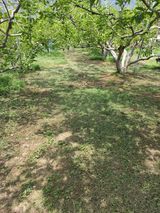 팜모닝 감·영농일지 게시글 이미지