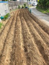 팜모닝 자유주제·자유게시판 게시글 이미지