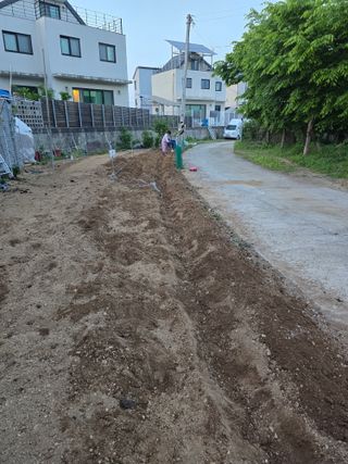 들깨19622님의 자유주제 · 자유게시판 작성글 사진