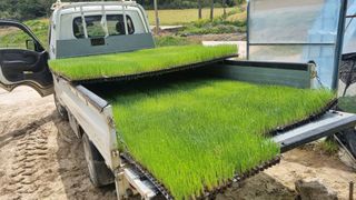 문혜농원님의 자유주제 · 자유게시판 작성글 사진