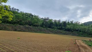 문혜농원님의 자유주제 · 자유게시판 작성글 사진