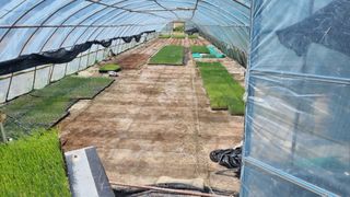 문혜농원님의 자유주제 · 자유게시판 작성글 사진