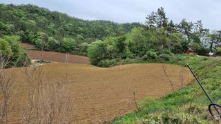 문혜농원님의 자유주제 · 자유게시판 작성글 사진