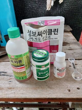 노영성님의 자두 · 영농일지 작성글 사진