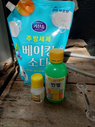 노영성님의 자두 · 영농일지 작성글 사진