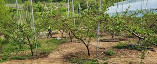 육영순님의 자유주제 · 자유게시판 작성글 사진