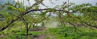 육영순님의 자유주제 · 자유게시판 작성글 사진