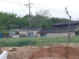 시골을사랑하는소녀님의 그곳에서 농사하게 된 계기는? · 참여글 작성글 사진