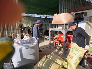 대왕소나무님의 벼 · 영농일지 작성글 사진