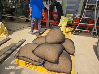 대왕소나무님의 벼 · 영농일지 작성글 사진