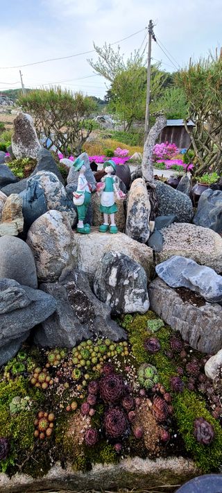 최영희님의 자유주제 · 자유게시판 작성글 사진