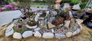 최영희님의 자유주제 · 자유게시판 작성글 사진