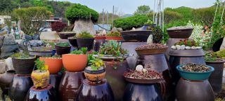 최영희님의 자유주제 · 자유게시판 작성글 사진