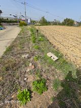 팜모닝 기타작물·영농일지 게시글 이미지