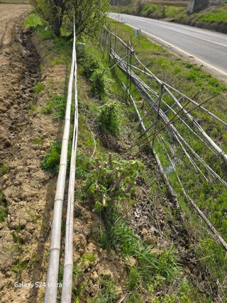 대왕소나무님의 기타작물 · 영농일지 작성글 사진