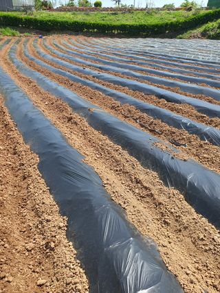 김영복님의 자유주제 · 자유게시판 작성글 사진