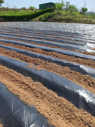 김영복님의 자유주제 · 자유게시판 작성글 사진