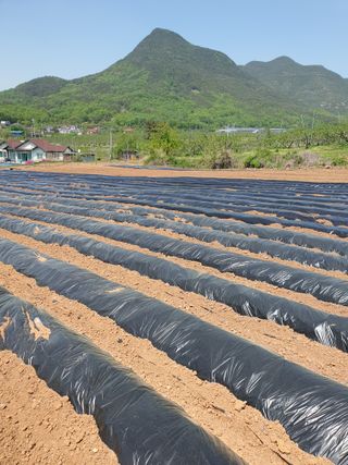 김영복님의 자유주제 · 자유게시판 작성글 사진