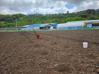 유진식님의 자유주제 · 자유게시판 작성글 사진