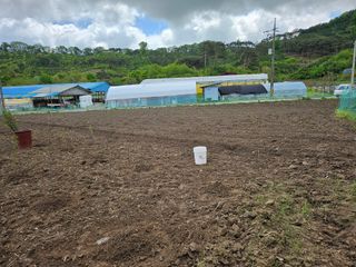 유진식님의 자유주제 · 자유게시판 작성글 사진