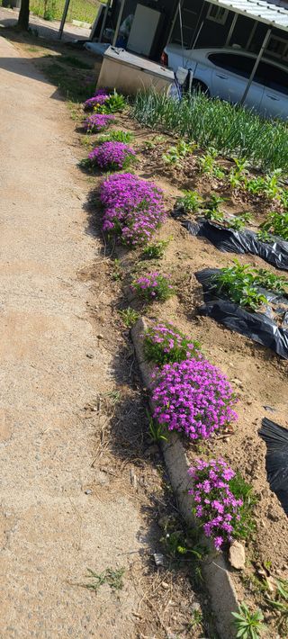 (천지산)님의 자유주제 · 자유게시판 작성글 사진