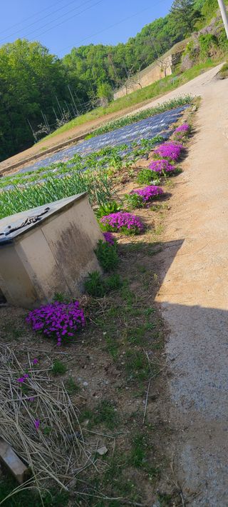 (천지산)님의 자유주제 · 자유게시판 작성글 사진