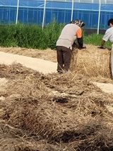 팜모닝 자유주제·자유게시판 게시글 이미지