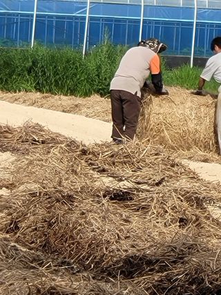 강태민님의 자유주제 · 자유게시판 작성글 사진