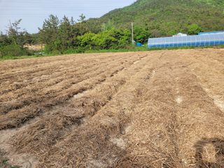 강태민님의 자유주제 · 자유게시판 작성글 사진