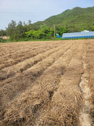 강태민님의 자유주제 · 자유게시판 작성글 사진