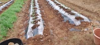 이규상님의 자유주제 · 자유게시판 작성글 사진