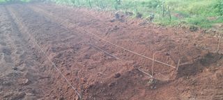 이규상님의 자유주제 · 자유게시판 작성글 사진