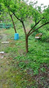 팜모닝 자유주제·자유게시판 게시글 이미지