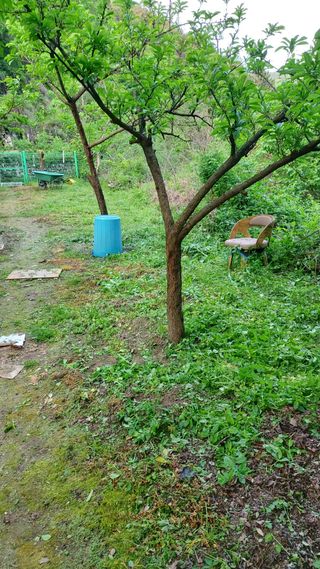 신준철님의 자유주제 · 자유게시판 작성글 사진