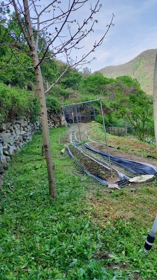 신준철님의 자유주제 · 자유게시판 작성글 사진