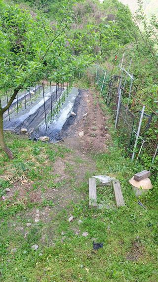 신준철님의 자유주제 · 자유게시판 작성글 사진