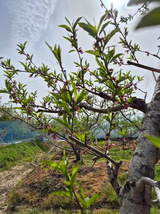 모민숙님의 그곳에서 농사하게 된 계기는? · 참여글 작성글 사진