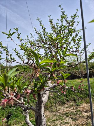 모민숙님의 그곳에서 농사하게 된 계기는? · 참여글 작성글 사진