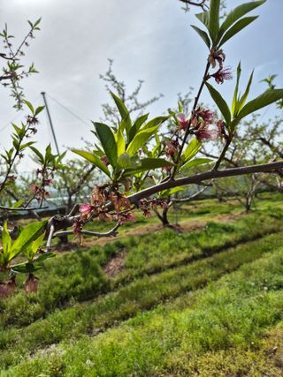 모민숙님의 그곳에서 농사하게 된 계기는? · 참여글 작성글 사진