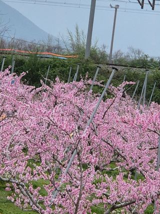 모민숙님의 그곳에서 농사하게 된 계기는? · 참여글 작성글 사진