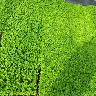 김상선님의 작성글 사진