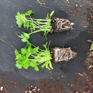 김상선님의 작성글 사진