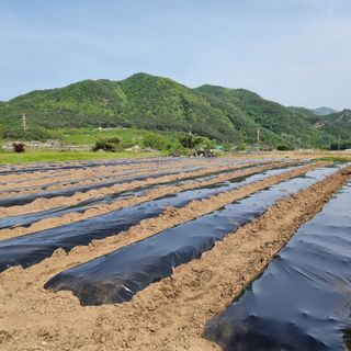 이종권님의 자유주제 · 자유게시판 작성글 사진