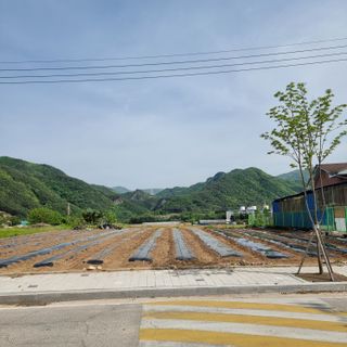 이종권님의 자유주제 · 자유게시판 작성글 사진