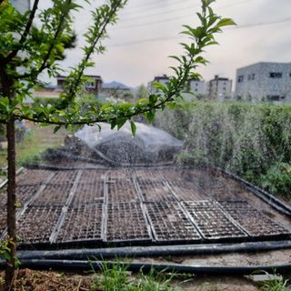 이종권님의 자유주제 · 자유게시판 작성글 사진